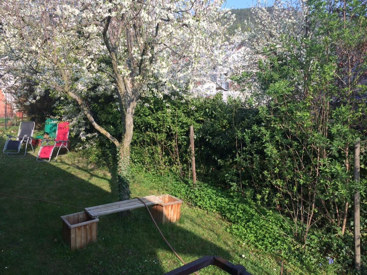 schones Zimmer in Gimmeldingen/ Konigsbach Neustadt an der Weinstraße Exterior foto